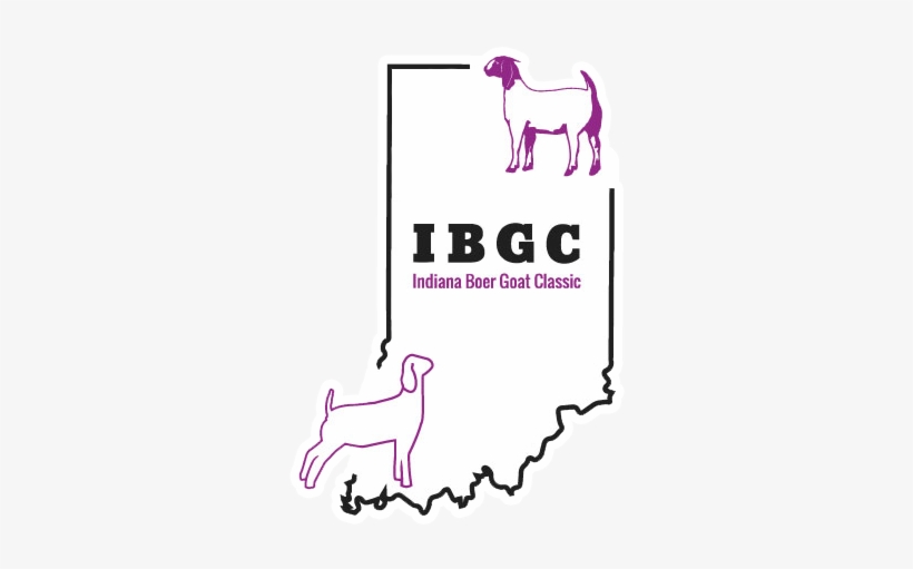 Indiana Boer Goat Classic - Goat, transparent png download