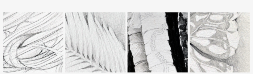 Sketch Textile Fingerprint Abstract Sensory Picturesque - Linens, transparent png download