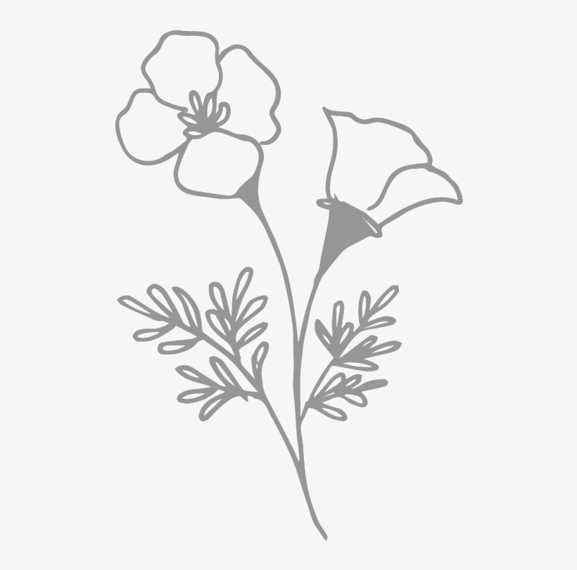 Floral - Buttercup, transparent png download