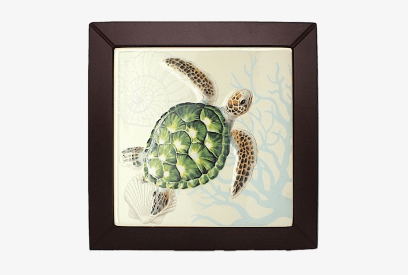 Framed - Hawaii, transparent png download