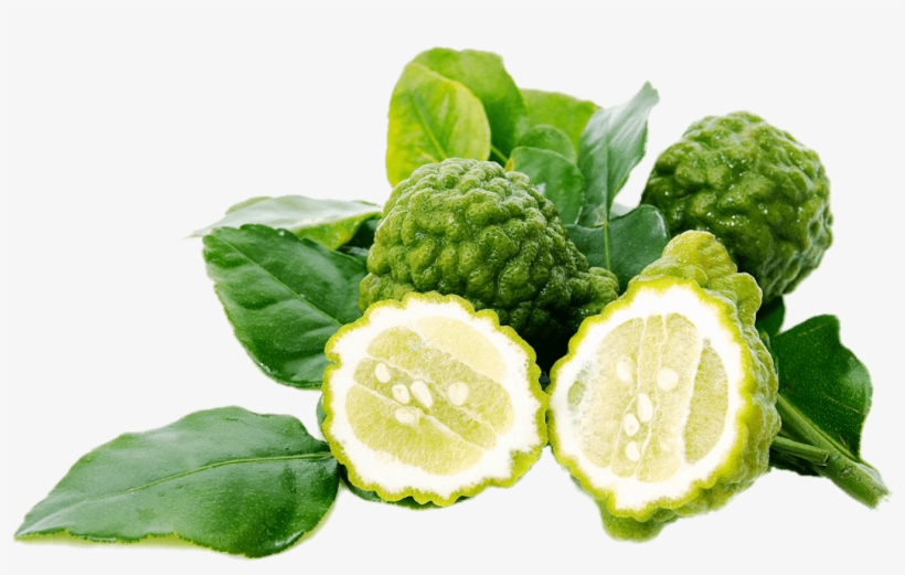 Kaffir Lime - Kaffir Lime Png, transparent png download