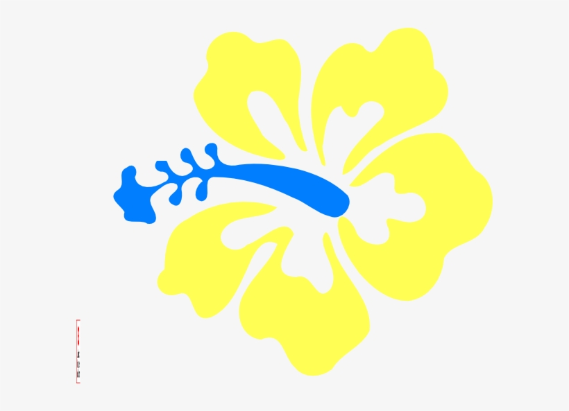 How To Set Use Coral Hibiscus Clipart, transparent png download
