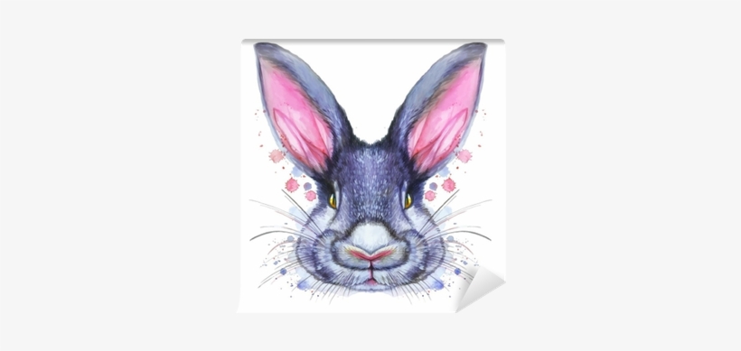 Painted Drawing With Watercolor Portrait Of An Animal - Kanin Tegning, transparent png download
