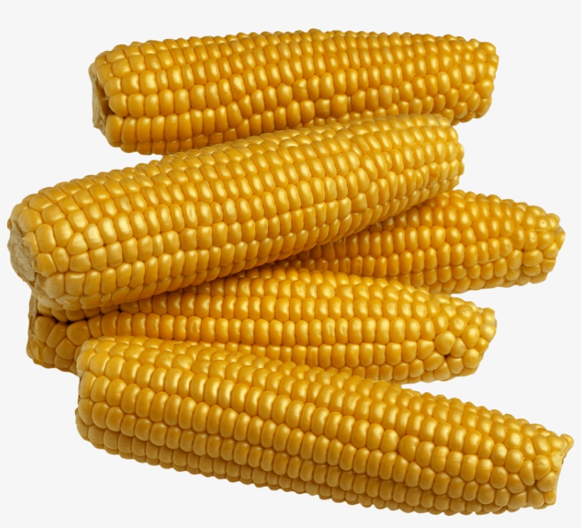Download Free Png Corn Png Images Transparent - Food Crops In Nigeria ...