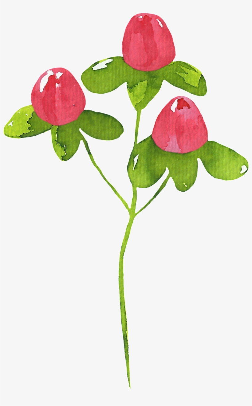 Creative Watercolor Plant Cartoon Transparent - Dibujo Planta Png, transparent png download