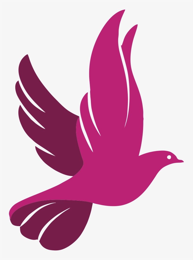 Pankh Feedyeti - More Pankh, transparent png download