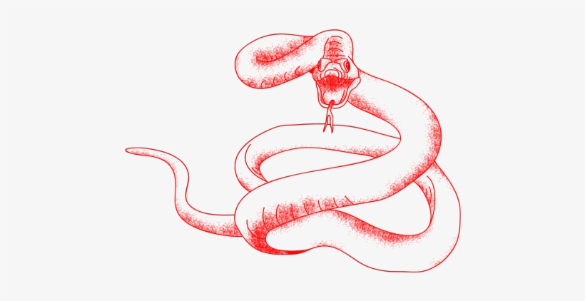 Snakes, transparent png download