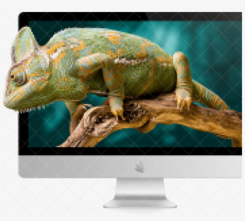 Monitor Large Right - Computer Monitor, transparent png download