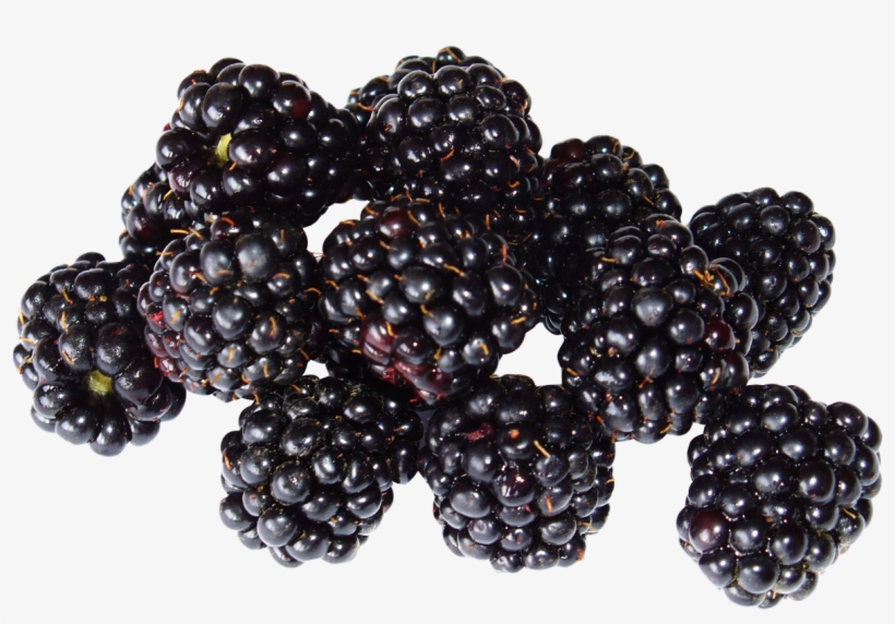 Blackberry Fruit Png Image - Blackberry Fruit Png, transparent png download