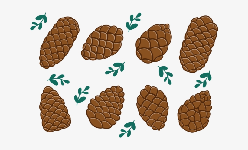 Pine Cones Icons Vector - Pine Nuts Vector Png, transparent png download