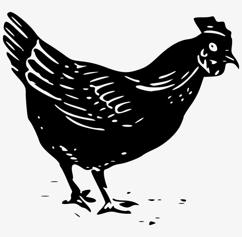Vector Stock Rooster Poultry Free On Dumielauxepices - Chicken Clip Art, transparent png download