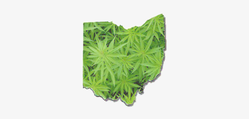 Another Option Is A Legislatively Initiated Ballot - Marijuana Ohio, transparent png download