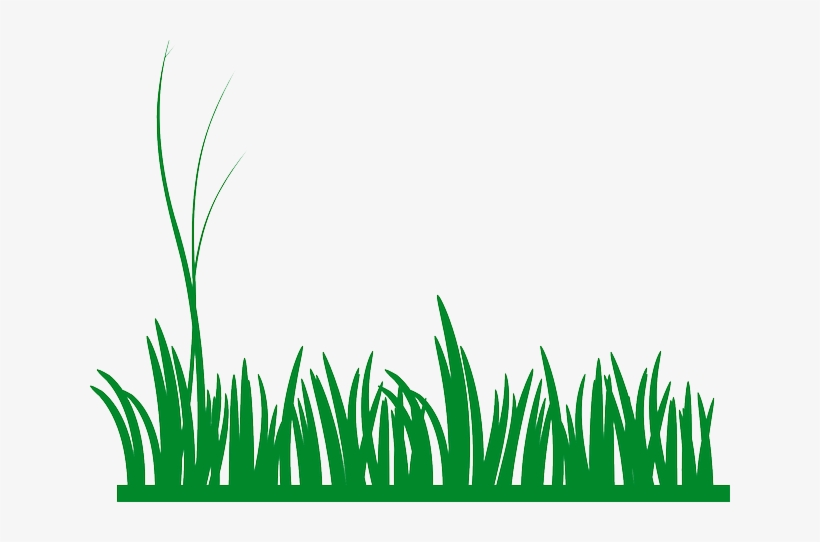 Gallery Images And Information - Grass Border Clip Art, transparent png download
