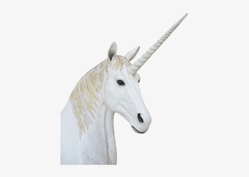 Png,unicorn,animal Magic,fantasy - Unicorn, transparent png download