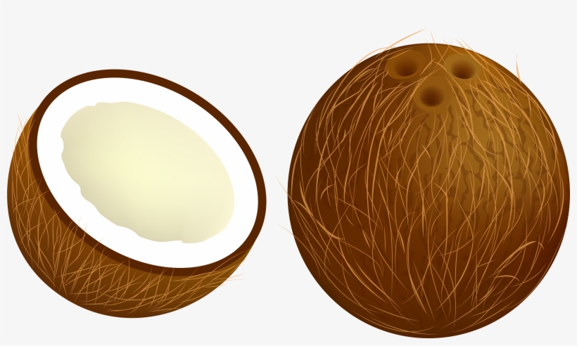 Wood, transparent png download