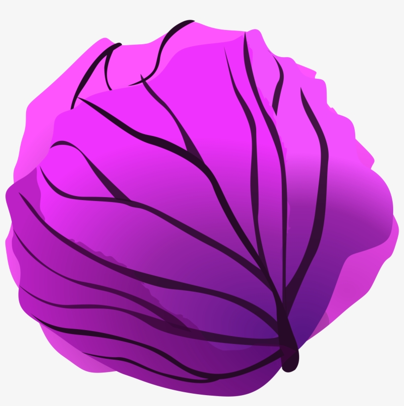 Purple Fruits And Vegetables - Red Cabbage Clipart, transparent png download