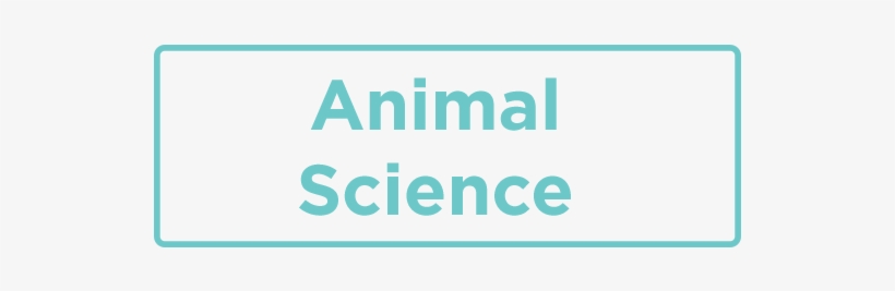 Animal Science - Colorfulness, transparent png download