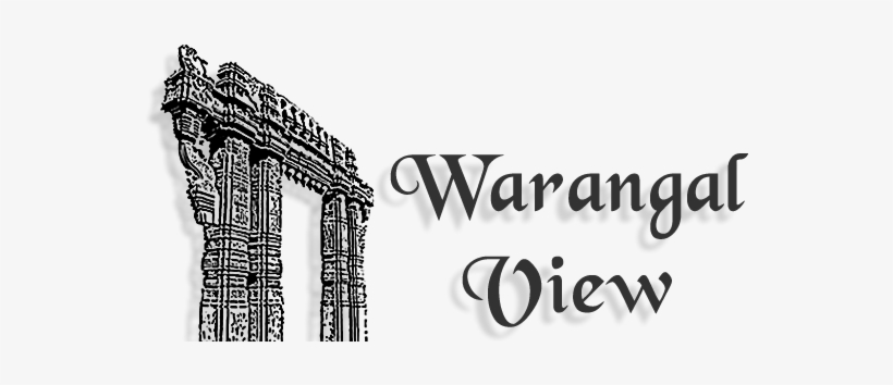 Pages - Civil War Diary, transparent png download