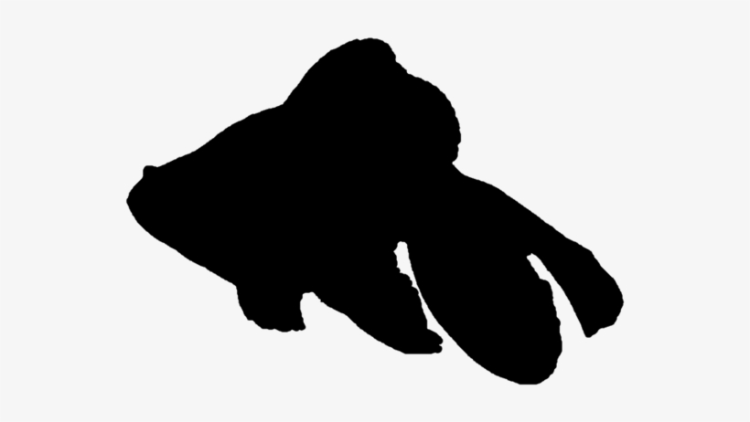 Small - Goldfish Silhouette Png, transparent png download