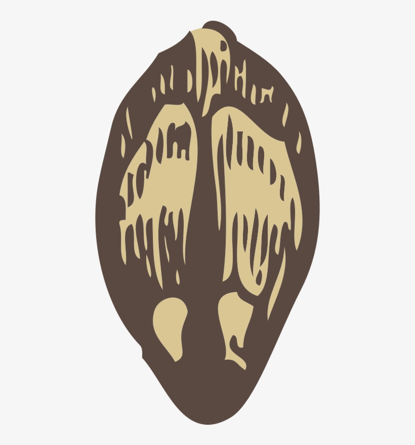 Clip Arts Related To - Seed Clip Art, transparent png download
