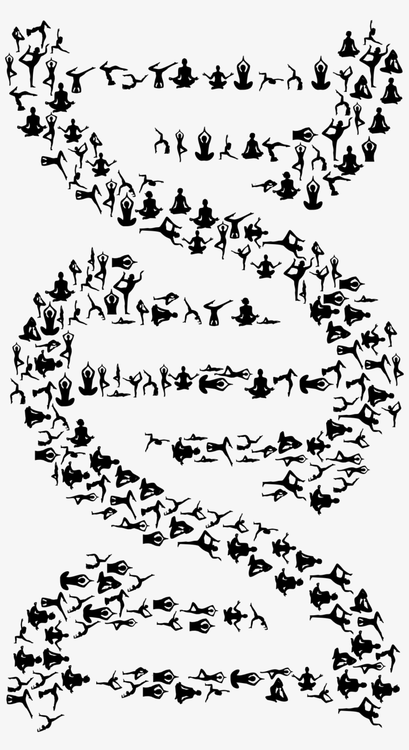 This Free Icons Png Design Of Yoga Dna Black, transparent png download