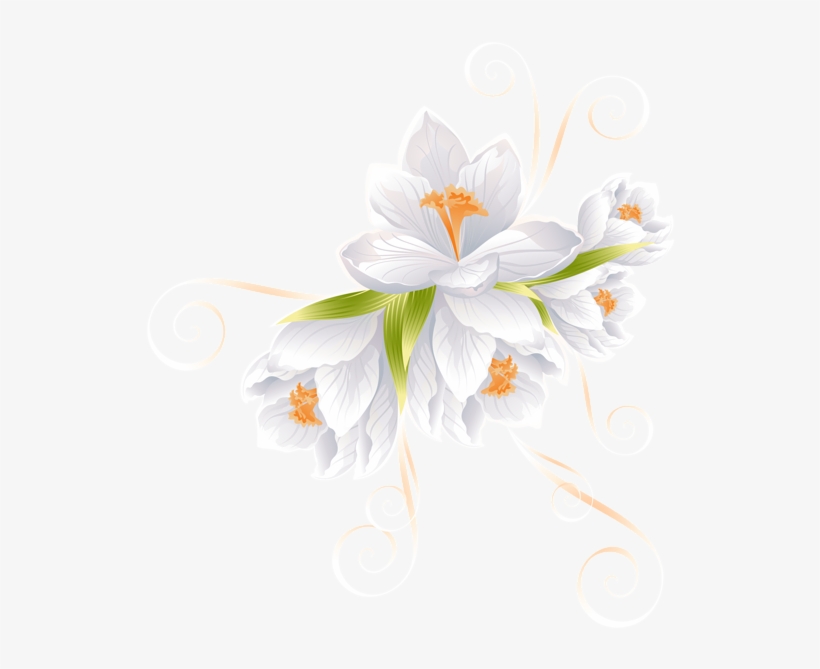 0, - White Flower Clipart Png, transparent png download