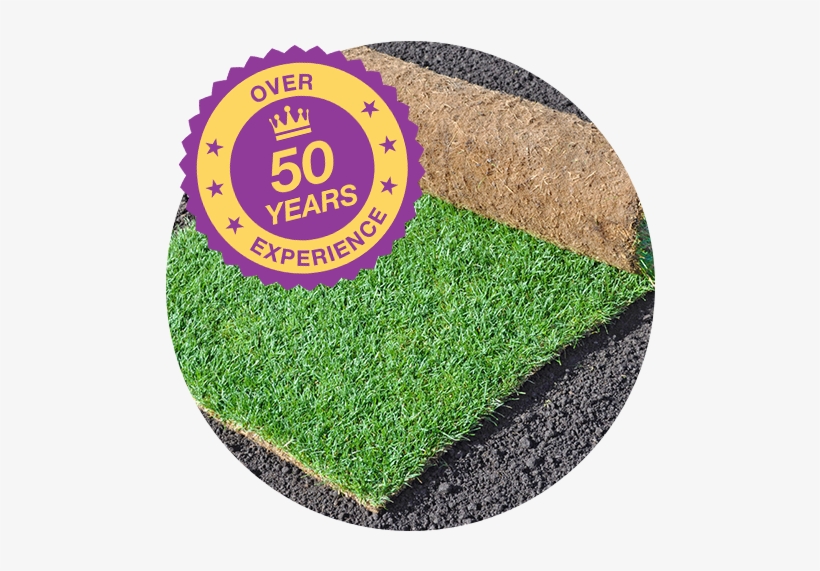 Turf Online - Lawn, transparent png download