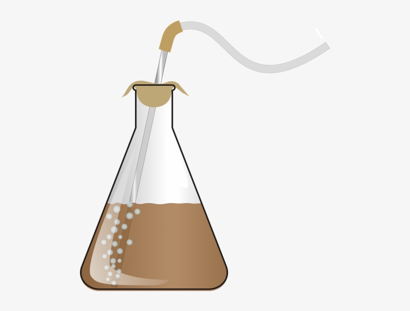 Erlenmeyer Flask, transparent png download
