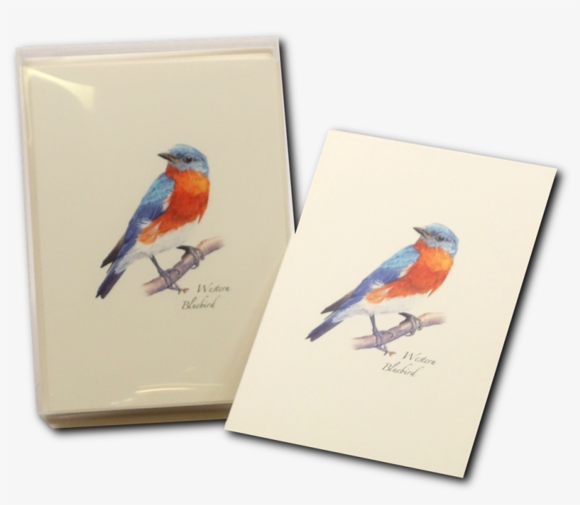 Shopping Cart -  -  - Steven M. Lewers Earth Sky Water Lewersnc104 Western, transparent png download