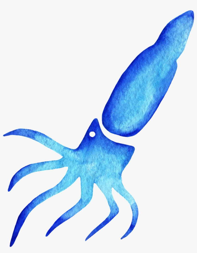 Watercolor Squid Clipart, transparent png download