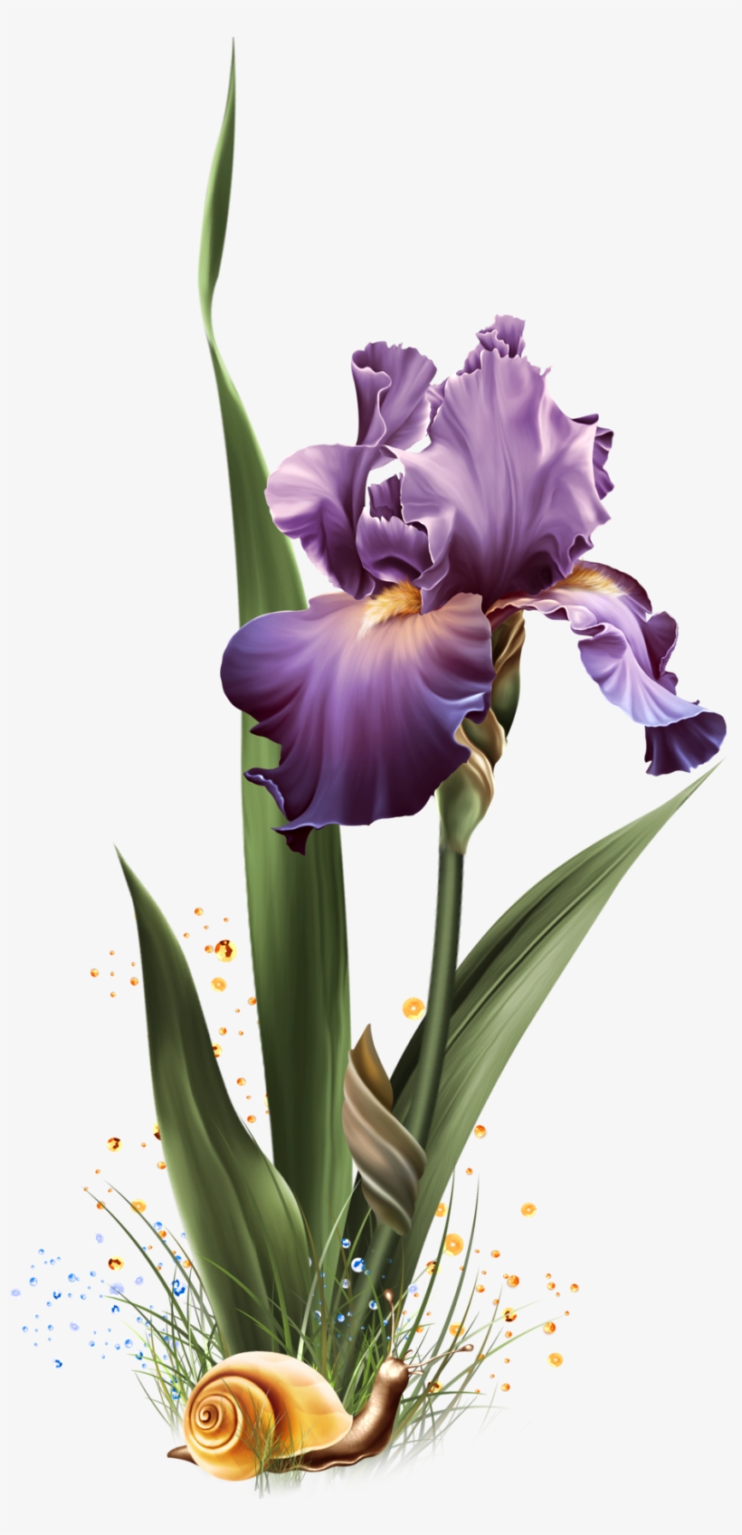 Iris Dreams - Jaguarwoman Png, transparent png download