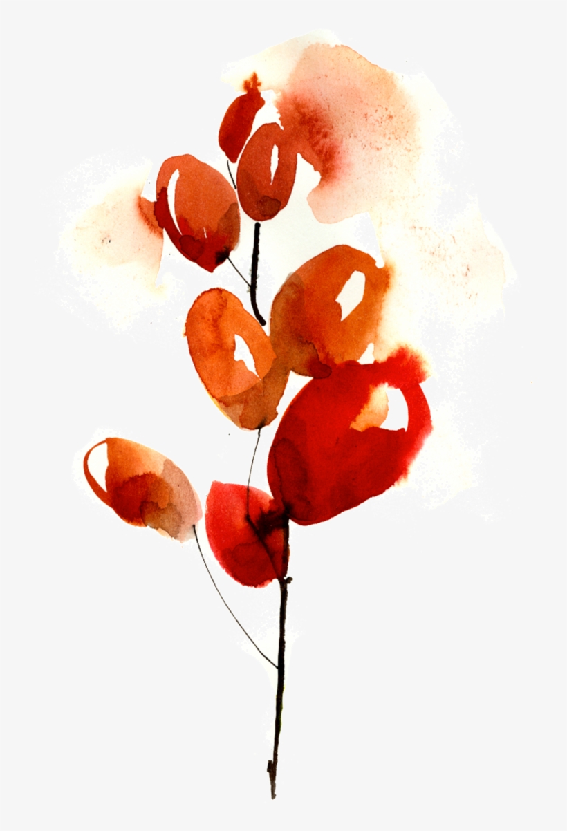 Bob - Cherries - Watercolor Painting, transparent png download