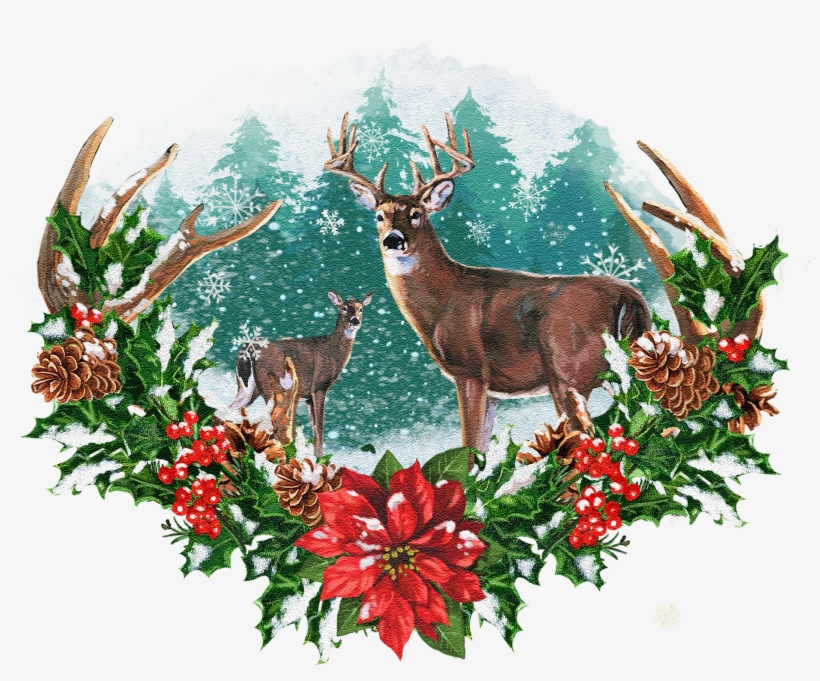 Seasonal Illustrations For Packaging And Merchandising - Roe Deer, transparent png download