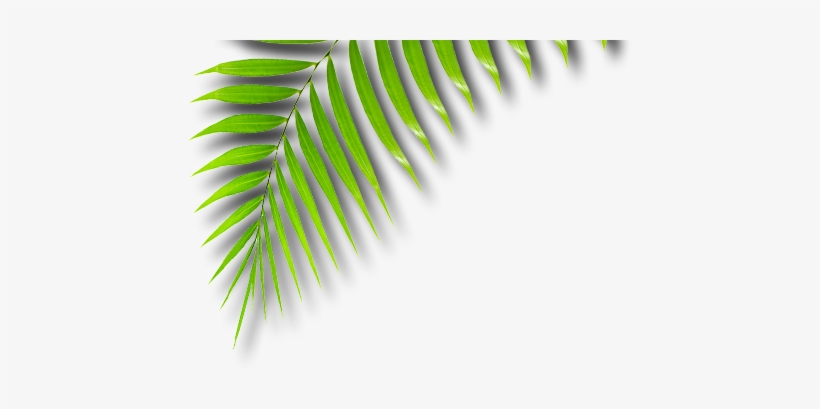 African Art In West Palm Beach - African Png, transparent png download