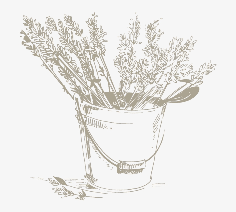 Lavender Water Is Used In Cosmetics For Its Calming, - Lily Of The Valley, transparent png download