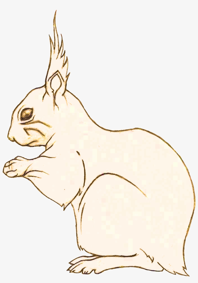 Squirrel Study - Drawing, transparent png download