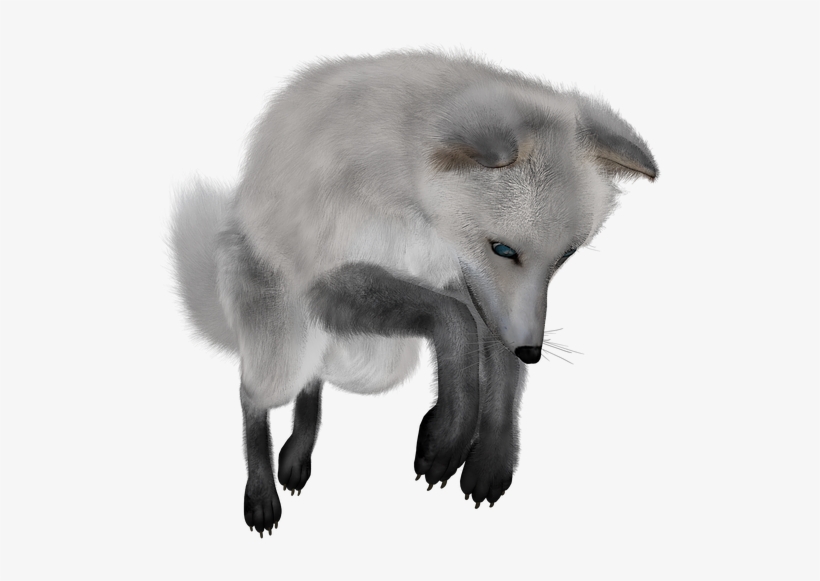 Gallery Free Clipart Picture Animals Png Painted Fox - Transparent Png Arctic, transparent png download