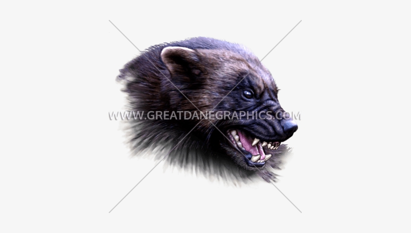 Wolverine - Wolverine Animal Artwork, transparent png download