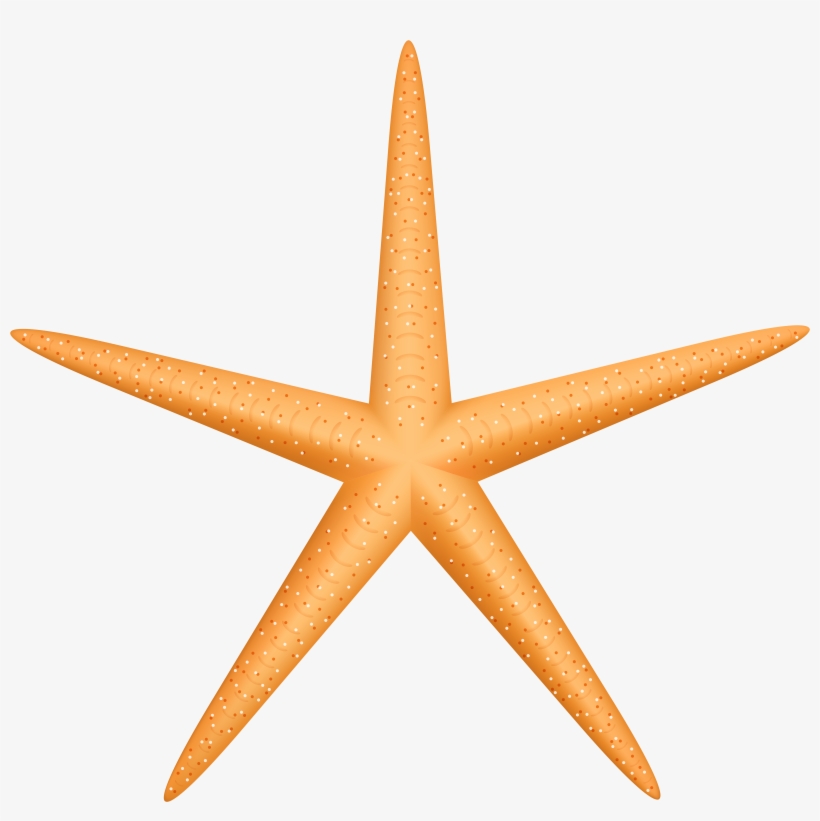 Yellow Starfish Png Clip Art, transparent png download