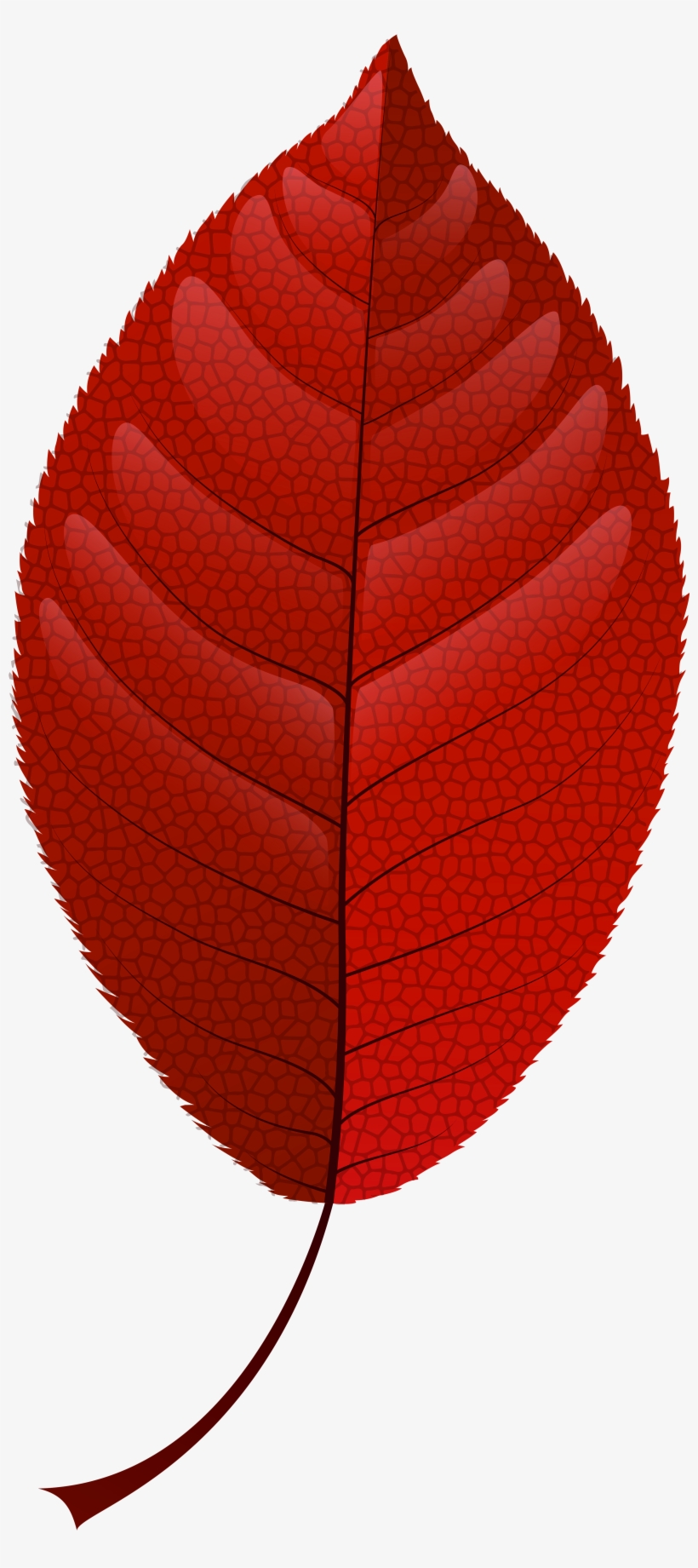 Red Fall Leaf Png Clip Art - Leaf, transparent png download
