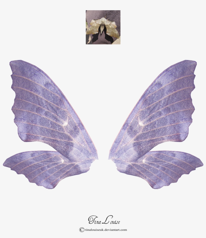 - - Art, transparent png download
