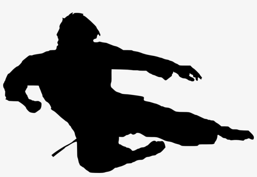 Free Png Karate Silhouette Png Images Transparent - Karate Silhouette Png, transparent png download
