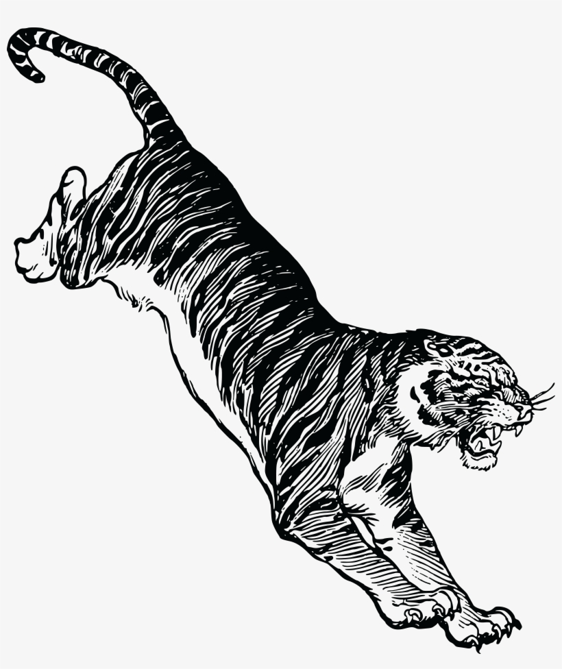 This Free Icons Png Design Of Jumping Tiger, transparent png download