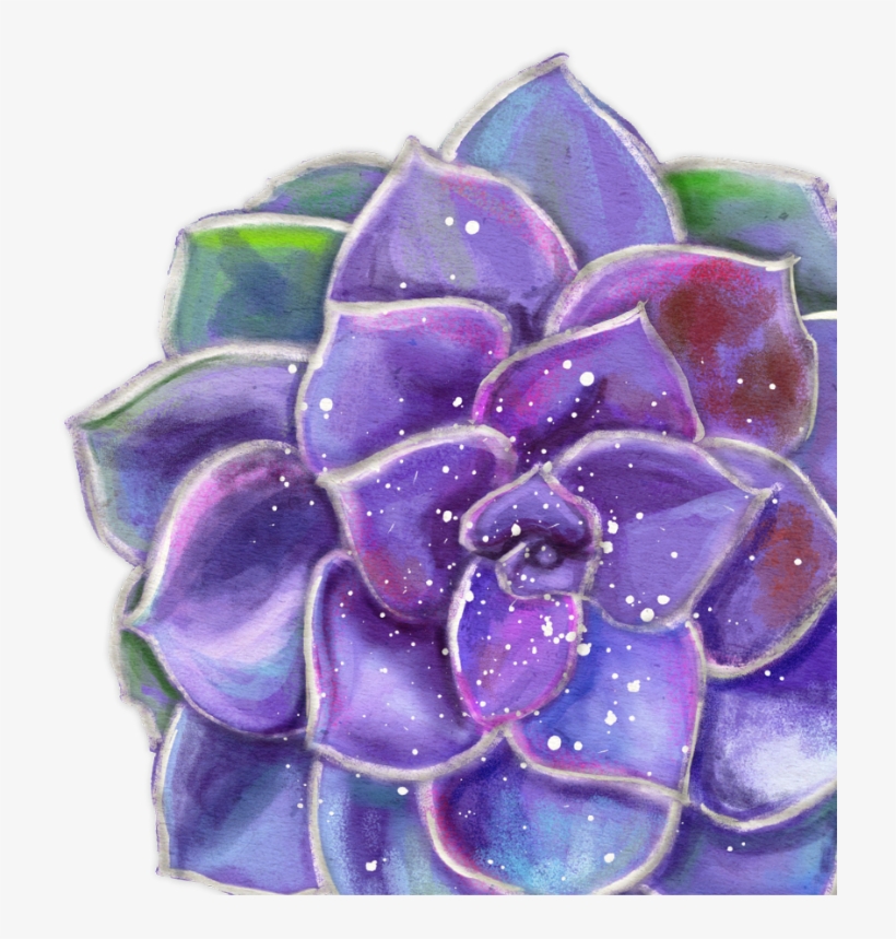 Succulent - Hyacinth, transparent png download