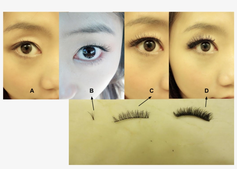 Image - Eyelash Extensions, transparent png download