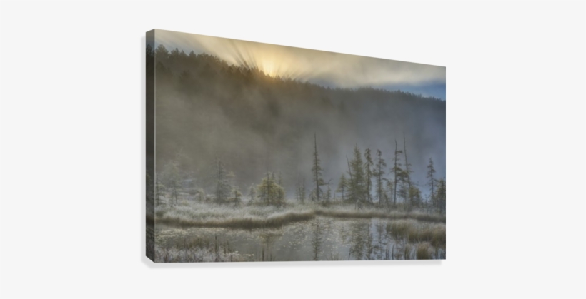 Early Morning Mist Over A Small Pond Along The Rock, transparent png download