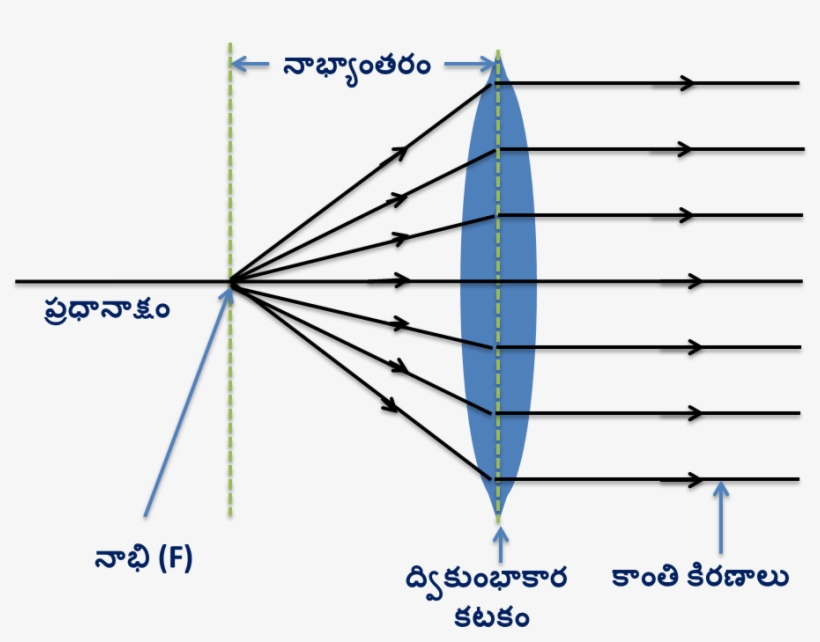 Refraction Of Light Rays From The Focus Of The Convex - Focus, transparent png download
