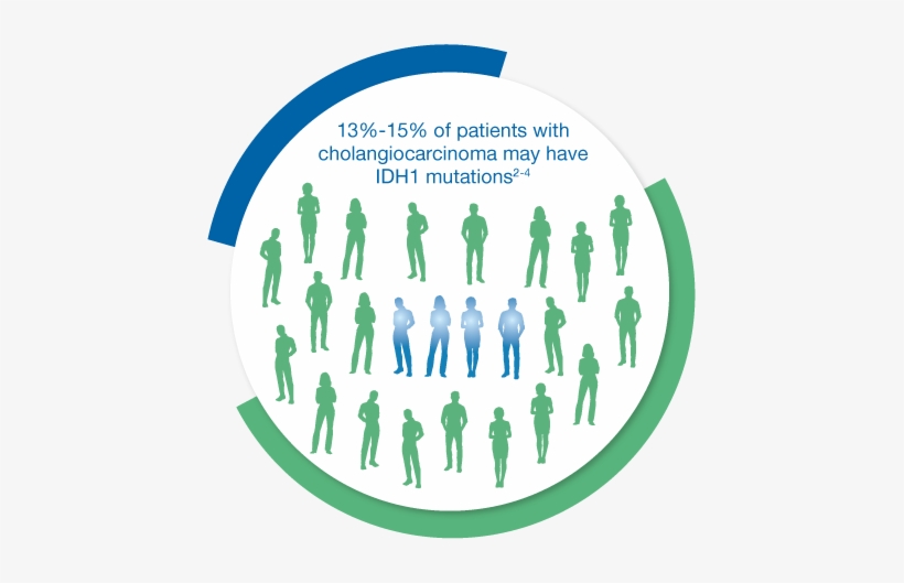Among Your Patients With Cholangiocarcinoma, 13-15% - Dna, transparent png download