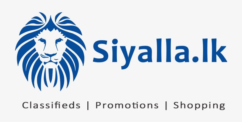 Lion Vector Front, transparent png download