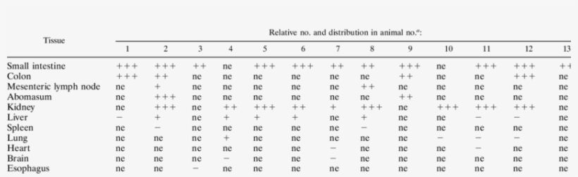 Relative Numbers Of And Organ Distribution Of Vascular - .org, transparent png download